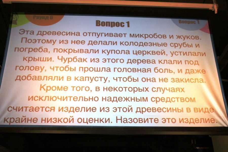 Вопросы для квиза с ответами и картинками