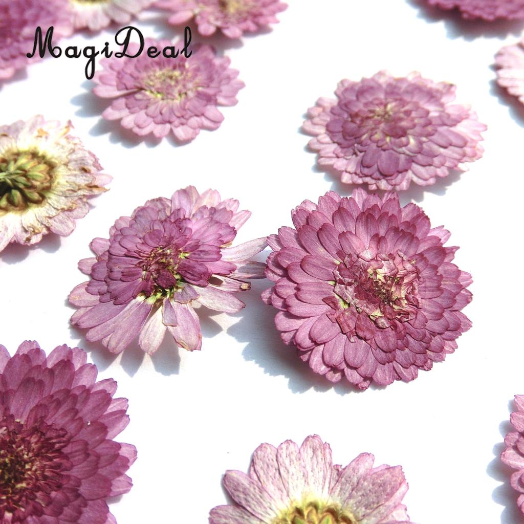 10x Pressed Real Dried Flower Dry Leaves for DIY Crafts Bookmark Card Making	