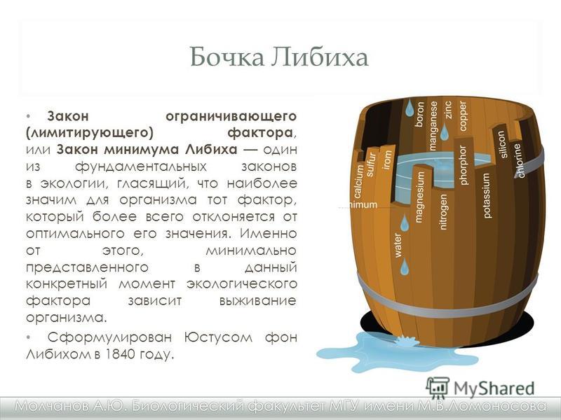 Волгоградская транспортная карта льготника