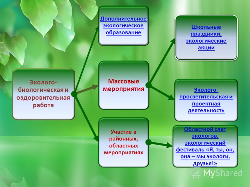 План по экологическому воспитанию в школе