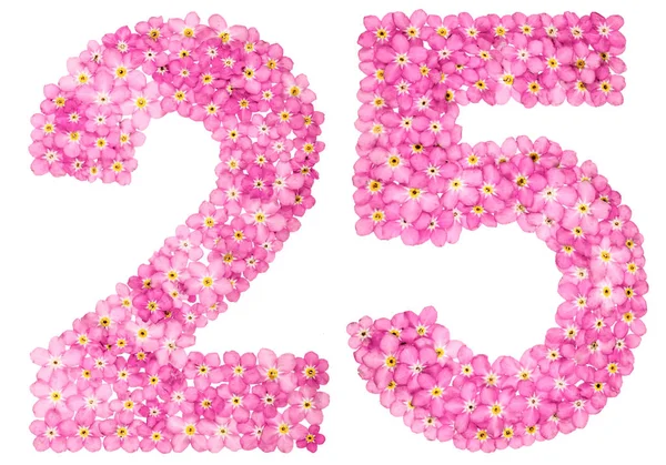 Цифра 25 в картинках: красивая цифра 25 лет с прозрачным фоном