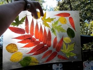 leaf13 300x225 - Осенние поделки: аппликации из осенних листьев. Коллаж из осенних листьев