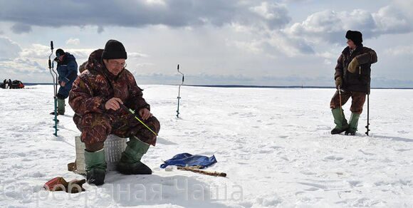 Корпоративная рыбалка в Московской области