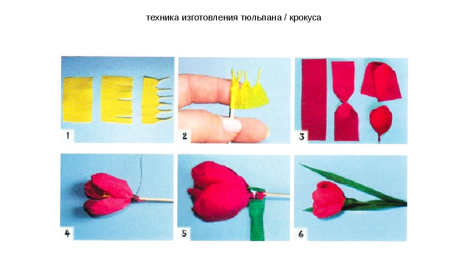 Цветы из гофрированной бумаги своими руками пошаговая инструкция с фото