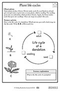 Plant-life-cycles