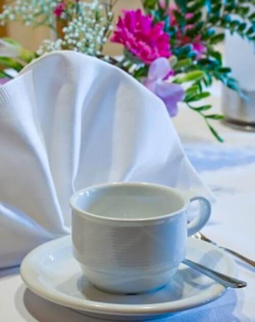 Napkin Folding Techniques