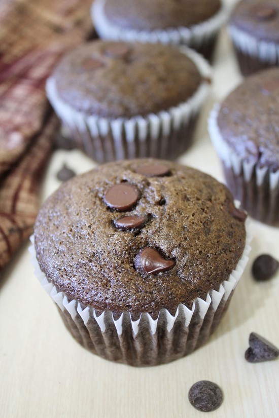 Eggless Chocolate Chocolate Chip Muffins Recipe 