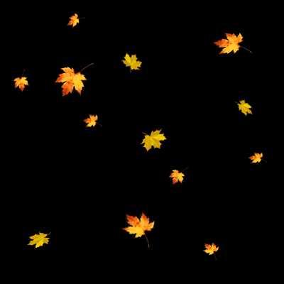 Фото Падающих Осенних Листьев
